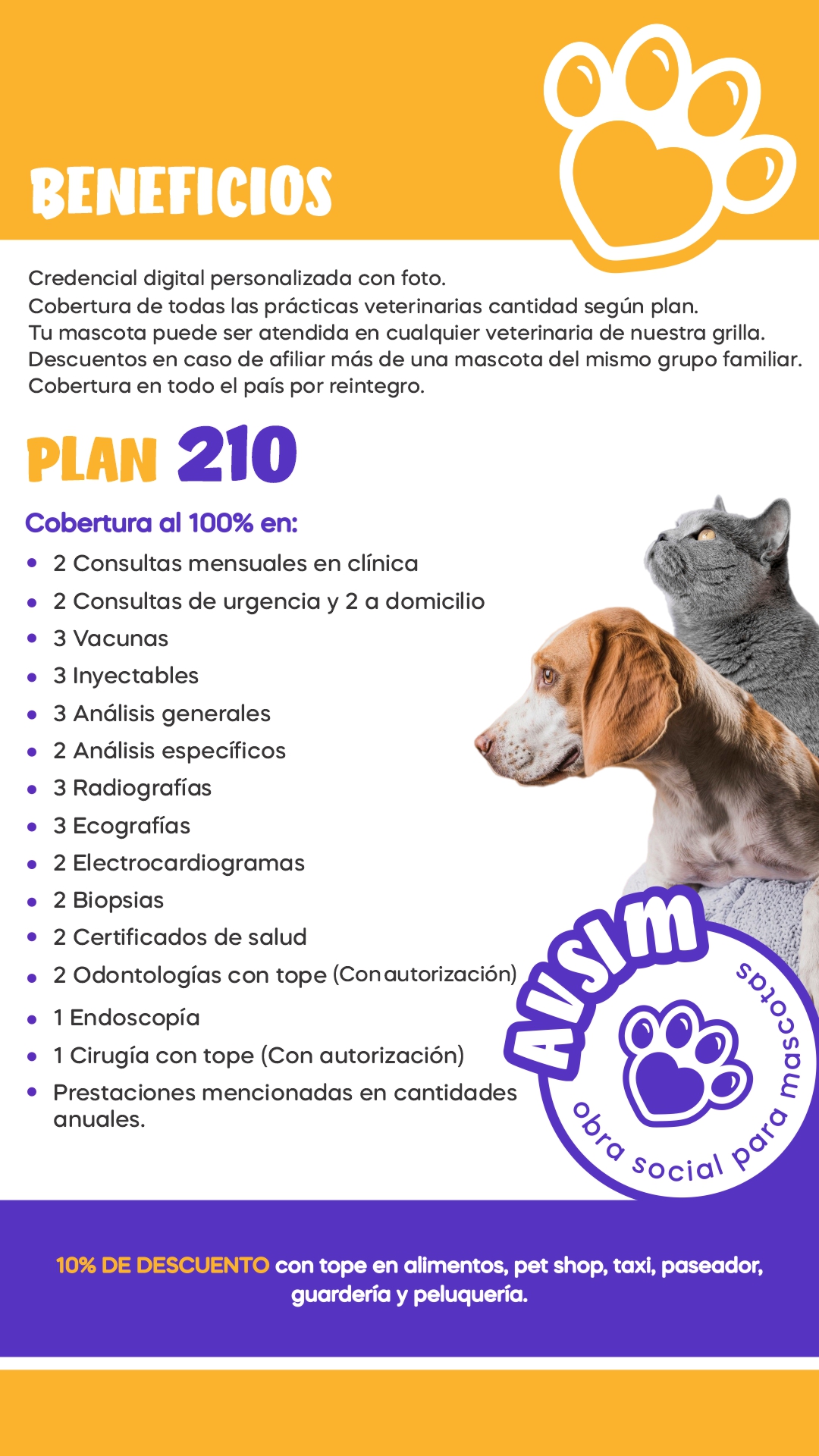 Imagen del PLAN 210