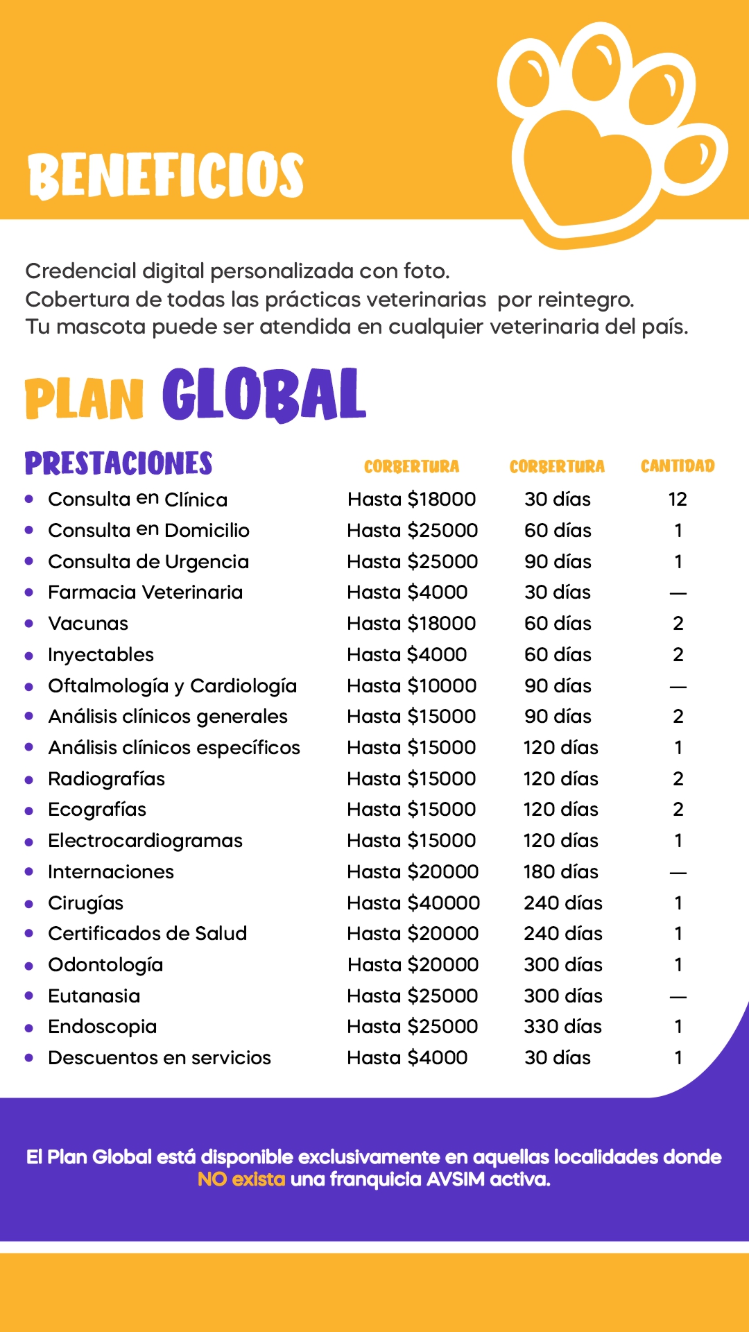 Imagen del PLAN GLOBAL