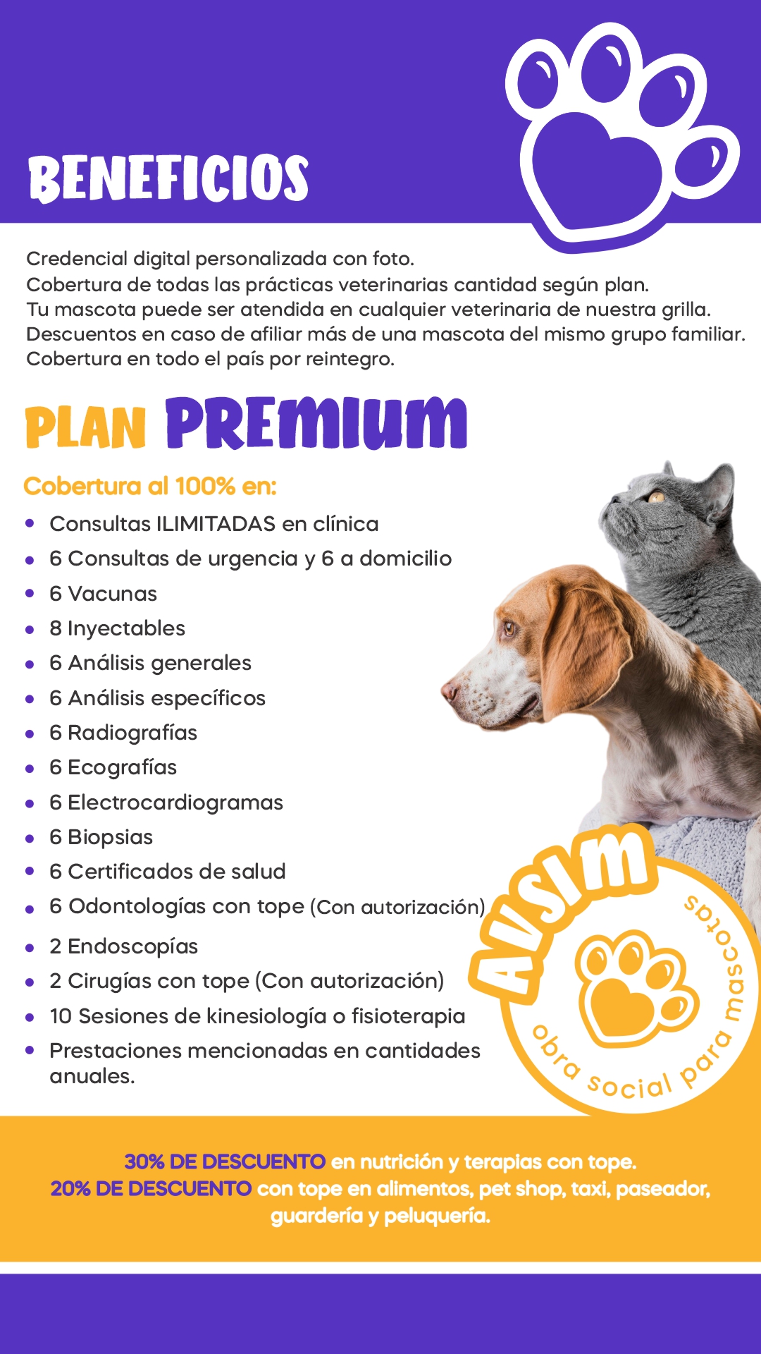 Imagen del PLAN PREMIUM